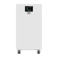 Аккумуляторная батарея Biom Professional 48В (51.2В) BALFP-512314-V2 16кВтч