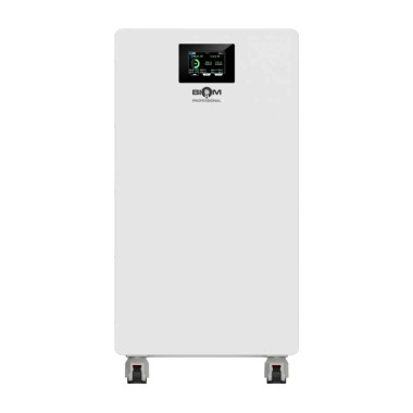 Аккумуляторная батарея Biom Professional 48В (51.2В) BALFP-512314-V2 16кВтч