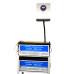 Система бесперебойного питания ALLURE PRIME SM-3200W (24V) AP12-200 (200Ач / 2560Вт/ч) - 2шт (5080Вт)